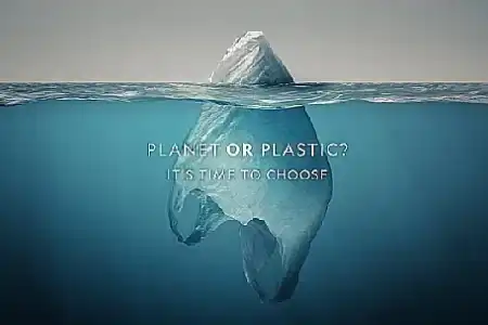 Save Yourself By Saving The Seas